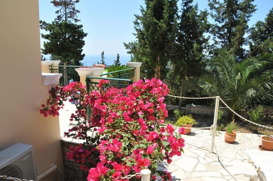 Paxoi Serene Oasis - Mylos Mediterranean Charm Arvanitakeika Kültér fotó